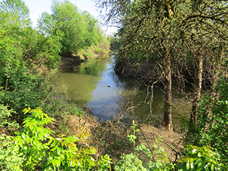 Photo of the Tualatin River.