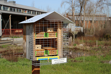 Photo of a Mason Bee nesting station.