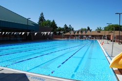 The Outdoor Pool 