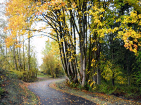 A paved trail to represent what the Crescent Park Greenway will look like