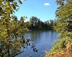 The Willamette River is visible through trees on a sunny day.