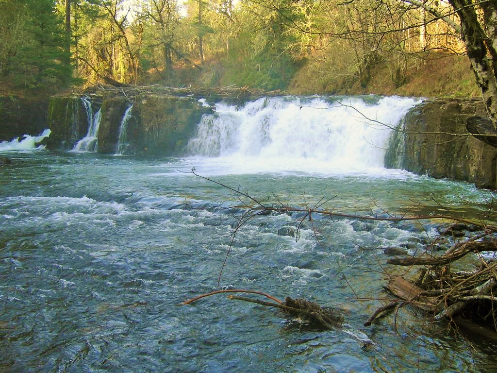 Upper-Tualatin River at Lee Falls