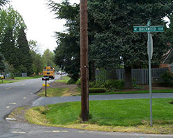 School bus on neighborhood street