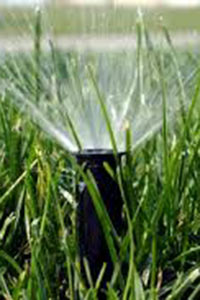 An in ground sprinkler watering grass