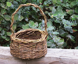 Photo of basket made of English Ivy.