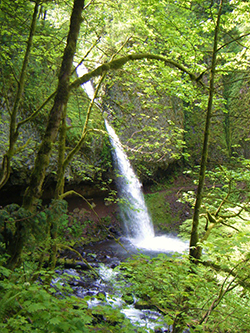 Photo of a waterfall.