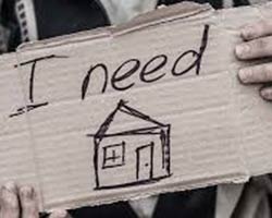 Hands hold a cardboard sign that states "I need a home."