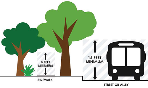 Figure 1: Sidewalk and Roadway Clear Zones. A diagram of the clear zones required for sidewalks and streets or alleys. Trees must be trimmed to a minimum of 8 feet above sidewalks, and, as of January 1, 2020, must be trimmed to a minimum of 15 feet above streets or alleys.