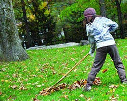  A young girl raking leaves in the fall