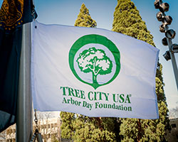 Tree-City-USA-Flag