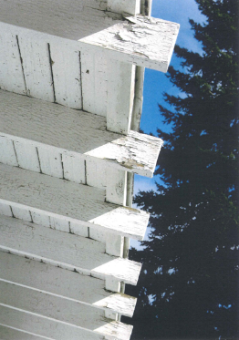 Roof eaves in need of repair