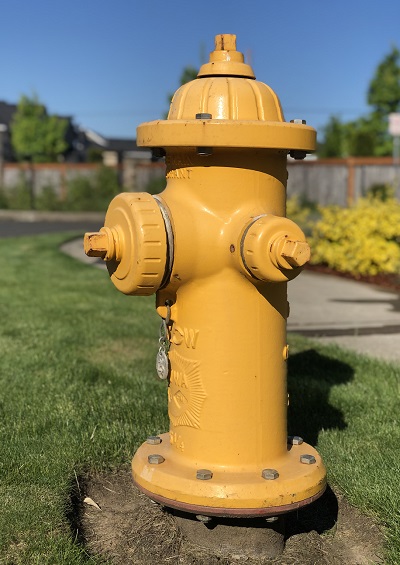 Approve Hydrant Type