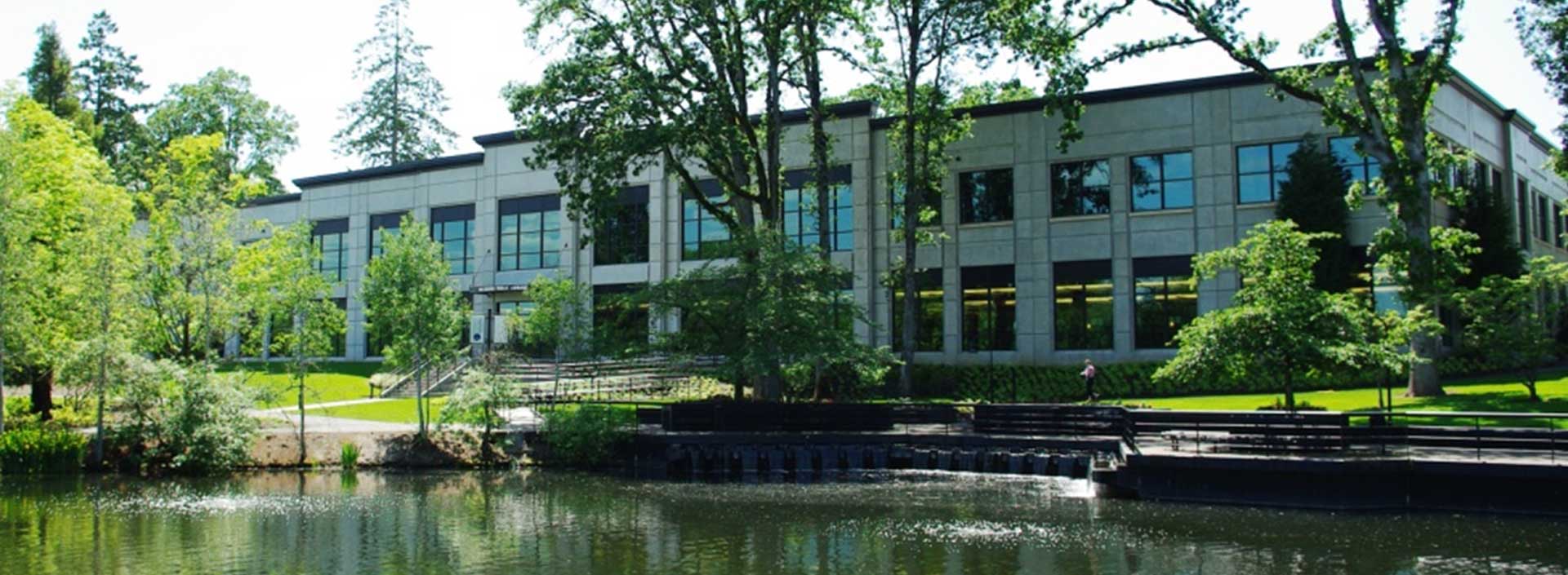 Brookwwod library with pond and trees