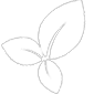 Leaves Icon