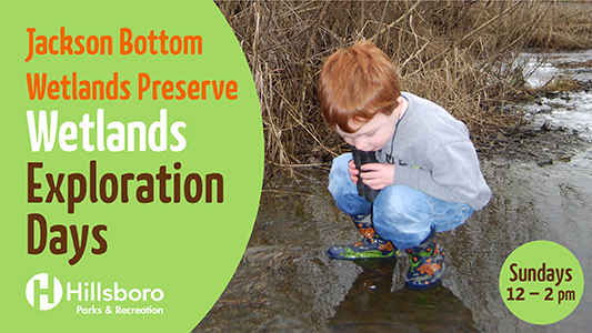 Jackson Bottom Wetlands Exploration Days, Sundays 12 - 2 pm