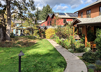 A cluster of cottages with a shared sidewalk and courtyard