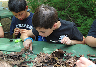 Middle School Students at the Wetlands