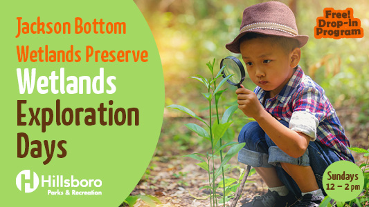 Small boy looking at a plant with a magnifying glass.