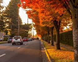 Baseline Street in the fall