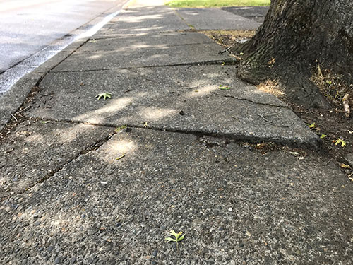 An uneven sidewalk requiring maintenance