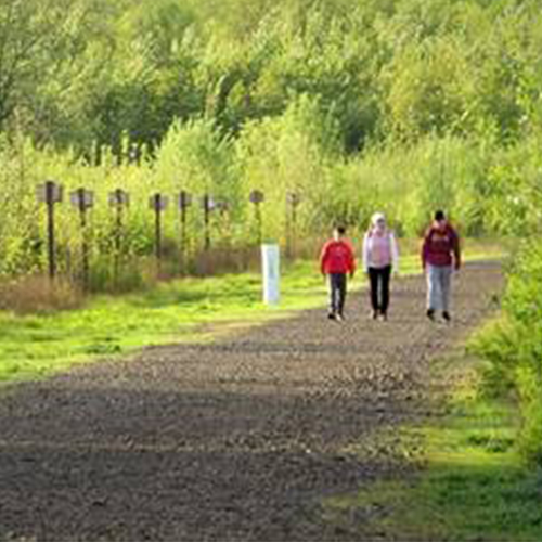 Three people walking on a trail at Jackson Bottom