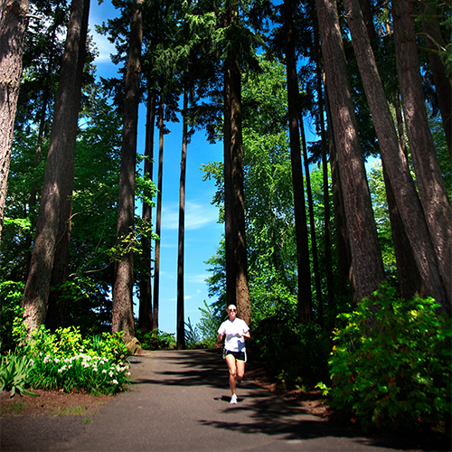 Runner at Rood Bridge Park