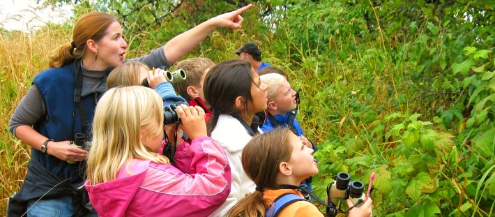 Kids looking into trees with binoculars