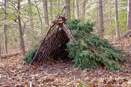 Photo of fort built with tree limbs.