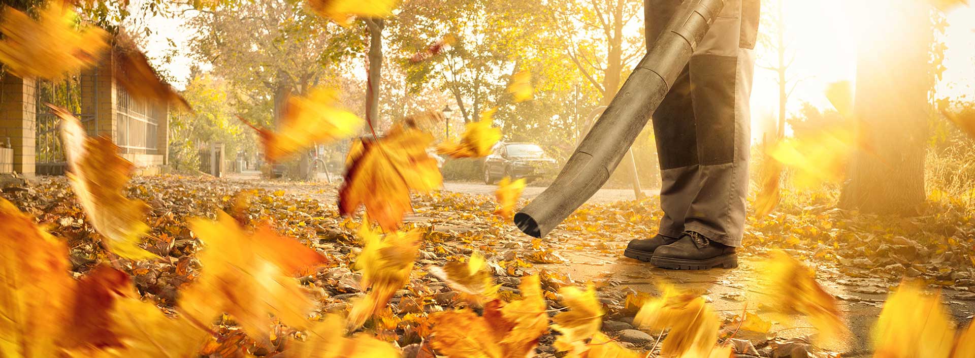 A person blowing leaves off the sidewalk