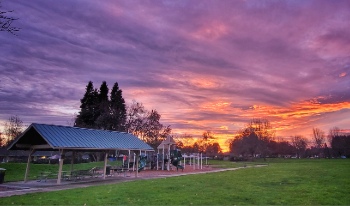 Sunset at Griffin Oaks Park