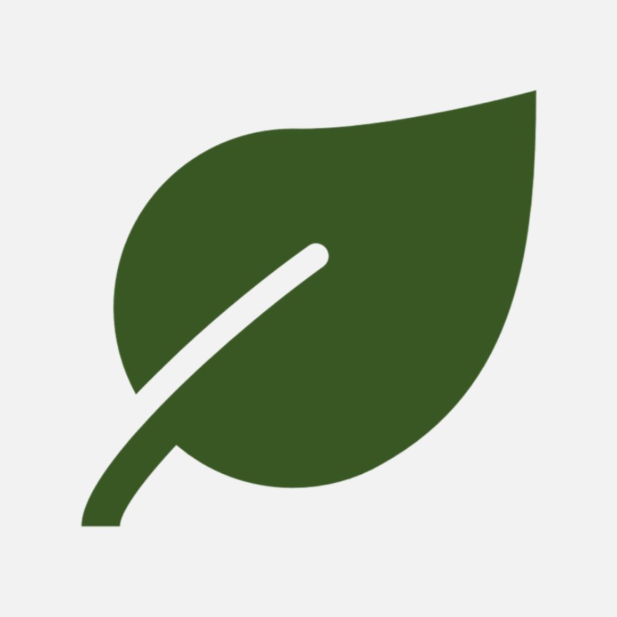 Leaf icon