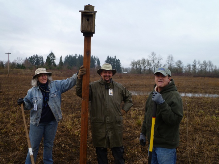 Volunteers install a bird house