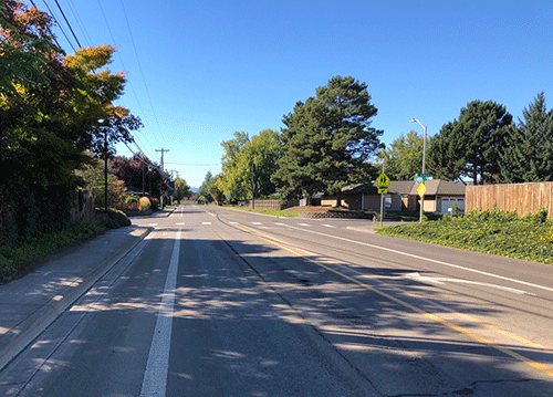 A section of Minter Bridge Road