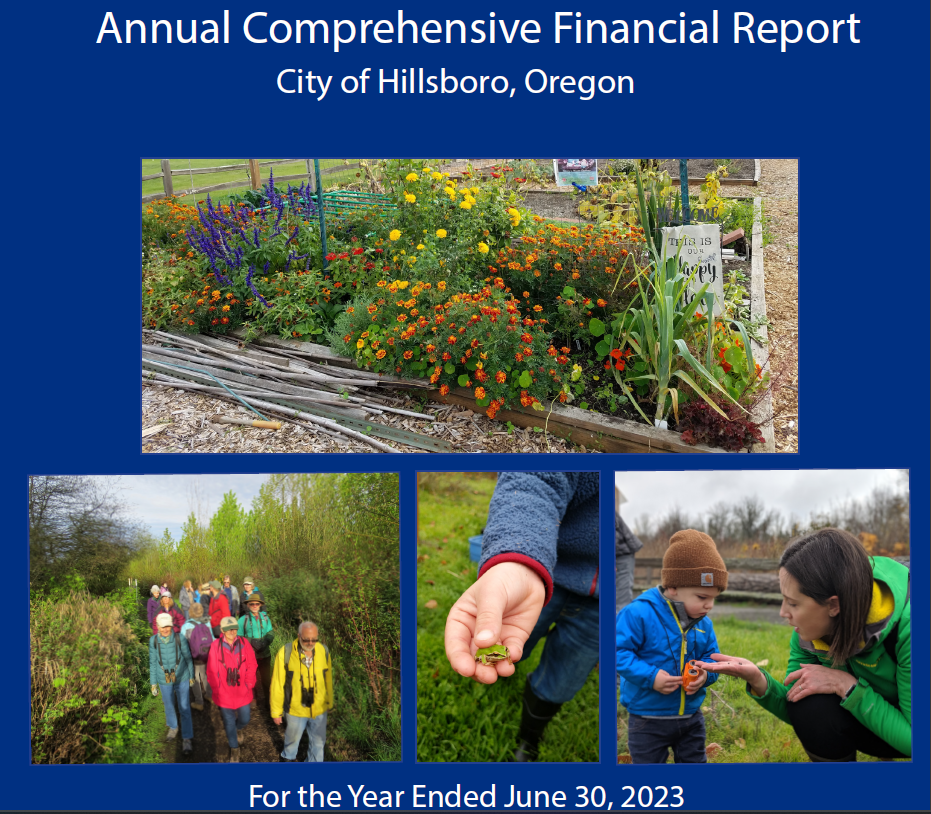 Annual Comprehensive Financial Report 2023