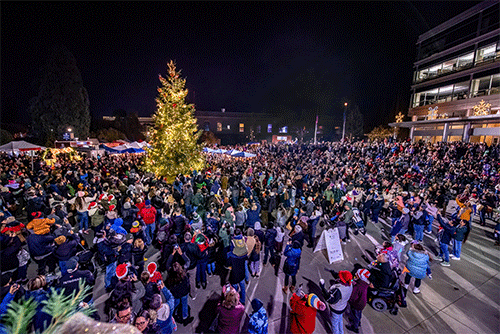 Crowd standing around lit up holiday tree