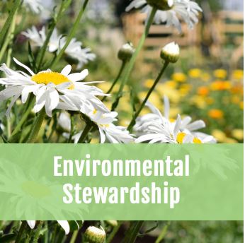 2023 Year in Review: Environmental Stewardship