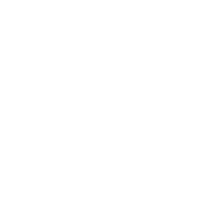 Hand holding house icon