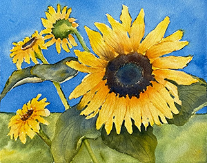 Watercolor painting of sunflowers by artist Burbidge