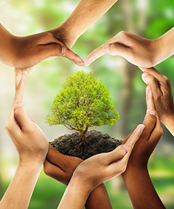 Many hands surround a tree