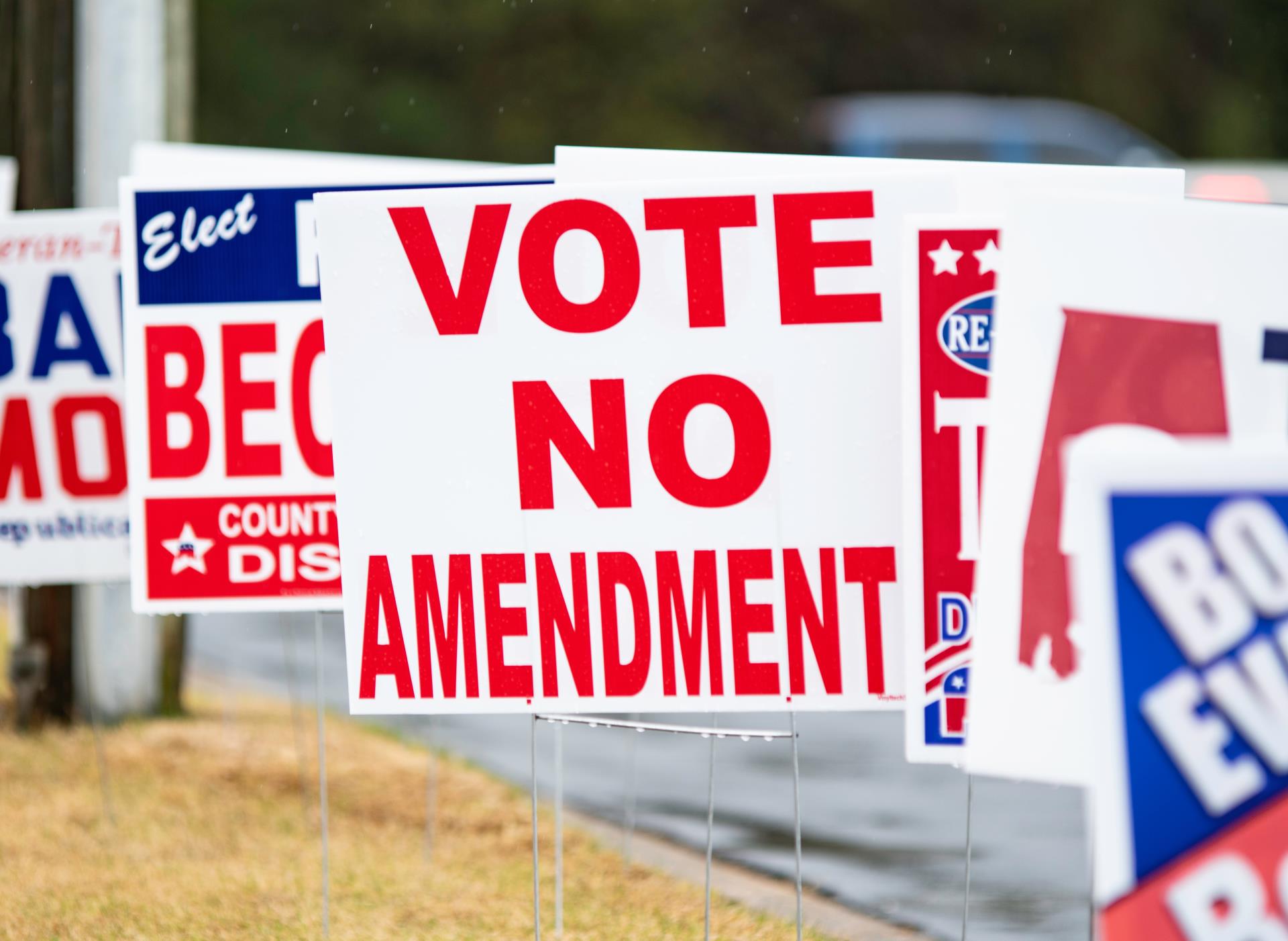 Multiple Campaign Signs