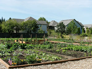 Orenco Community Garden