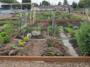 David Hill Community Garden