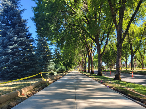 Shute Road, Multi-Use Path, project, public works