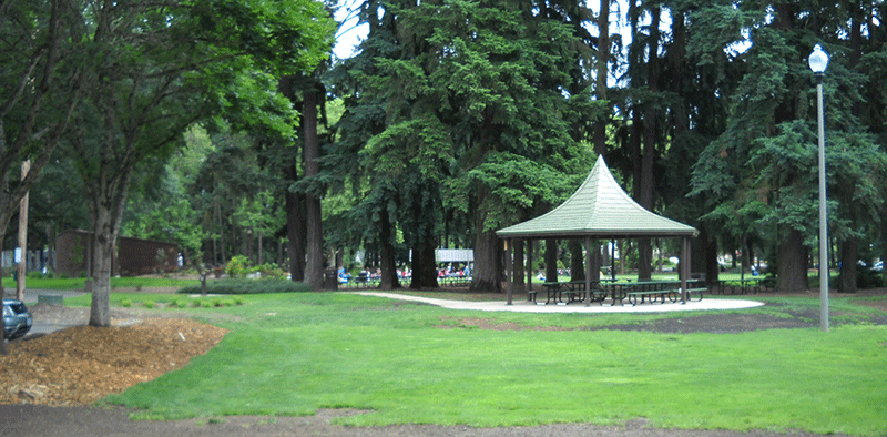 Shadywood Park