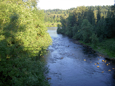 Willamette River at Wilsonville