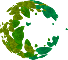 Earth_Leaves Only